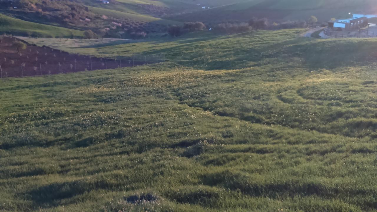 卡萨韦梅哈 Biznaga旅馆 外观 照片