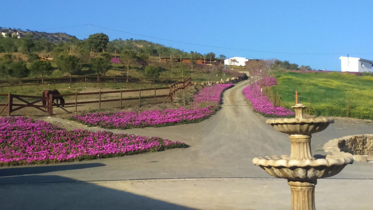 卡萨韦梅哈 Biznaga旅馆 外观 照片
